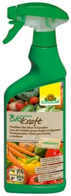 Remède vital BioKraft pour les fruits et légumes, 500 ml Renforcement des plantes Neudorff 658242700000 Photo no. 1