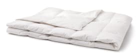 PRIMADAUN medium warm Piumino caldo di quatto stagioni PRIMADAUN medium warm Piumino caldo di quatto stagioni 451744812310 Colore Bianco Dimensioni L: 160.0 cm x P: 210.0 cm N. figura 1
