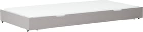 Flexa CLASSIC Letto estraibile CLASSIC Letto estraibile Flexa 404996700000 Colore Grigio Dimensioni L: 90.0 cm x P: 190.0 cm x A: 34.0 cm N. figura 1