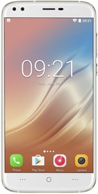 Doogee X30 or