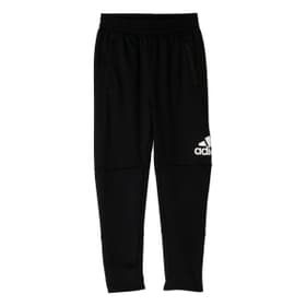 Boys Tiro Pant