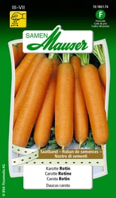 Samen Mauser Ruban de semences carotte Rotin Semences de legumes Ruban de semences carotte Rotin Semences de legumes Samen Mauser 650110910000 Contenu 3 x 2.5 m de ruban de graines pour für 1 - 1.5 m² Photo no. 1