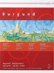 Hahnemühle Burgund Aquarell-Block 30x40 Aquarell Postkartenblock Pebeo 663554300000 Bild Nr. 1