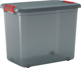 2er Set Klatch Box XXL