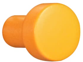 Bouton