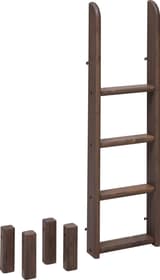 Flexa CLASSIC Echelle droite lit superposé CLASSIC Echelle droite lit superposé Flexa 404918000000 Dimensions L: 41.0 cm x P: 11.0 cm x H: 131.0 cm Couleur Terre Photo no. 1
