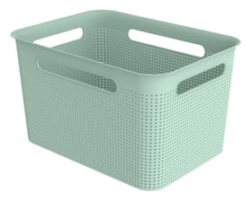 Rotho BRISEN Wäschekorb 16 l Wäschekorb BRISEN Wäschekorb 16 l Wäschekorb Rotho 674423000000 Bild Nr. 1