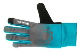 Gardena Garten- und Pflegehandschuhe Garten- und Pflegehandschuhe Gardena 602891000000 Farbe Schwarz, Türkis Grösse 7 S Bild Nr. 1