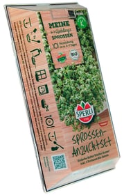 Sperli Bio Kresse Starter Set Graines germées Bio Kresse Starter Set Graines germées Sperli 650151500000 Photo no. 1