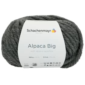 Wolle Alpaca Big Wolle Alpaca Big 667091800050 Grösse L: 15.0 cm x B: 8.0 cm x H: 10.0 cm Farbe Grau Bild Nr. 1