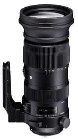 Sigma 60-600mm 4.5-6.3 DG OS HSM Canon Objektiv 60-600mm 4.5-6.3 DG OS HSM Canon Objektiv Sigma 785300143713 Bild Nr. 1