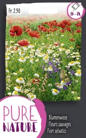 Do it + Garden Fleurs sauvages, mélange 2.5g Semences de fleurs Fleurs sauvages, mélange 2.5g Semences de fleurs Do it + Garden 287300400000 Photo no. 1