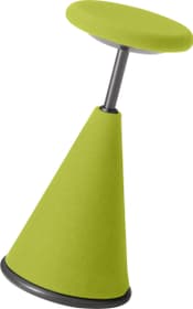 Giroflex Nr. 10 Appui-fesses Nr. 10 Appui-fesses Giroflex 401513800061 Dimensions L: 33.0 cm x P: 33.0 cm x H: 64.0 cm Couleur Vert clair Photo no. 1