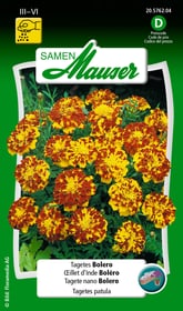 Tagete nano Bolero Sementi di fiori Samen Mauser 650107501000 Contenuto 1 g (ca. 80 piante o 4 - 5 m²) N. figura 1