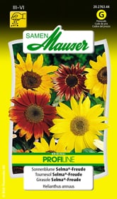 Sonnenblume Selma®-Freude