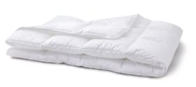 FIBRALUX medium warm Couette ultradouce pour toute l’année en fibres synthétiques FIBRALUX medium warm Couette ultradouce pour toute l’année en fibres synthétiques 451744712310 Couleur Blanc Dimensions L: 160.0 cm x P: 210.0 cm Photo no. 1