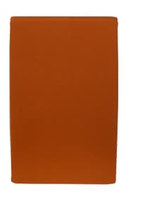 CARLOS Drap-housse en jersey CARLOS Drap-housse en jersey 451033230334 Couleur Orange Dimensions L: 90.0 cm x H: 200.0 cm Photo no. 1