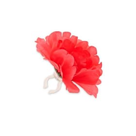 Dahlia Flower