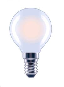 E14, 250lm, 25W LED Lampe Hama 785300175092 Bild Nr. 1