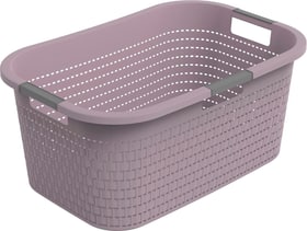 Rotho COUNTRY 40 l Cestino per il bucato COUNTRY 40 l Cestino per il bucato Rotho 674367900000 Colore Viola N. figura 1