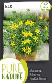 Do it + Garden Johanniskraut Hypericum perforatum 0.5g Kräutersamen Johanniskraut Hypericum perforatum 0.5g Kräutersamen Do it + Garden 287120400000 Bild Nr. 1