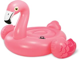 Mega Flamingo Insel