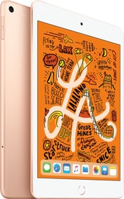 Apple iPad mini 7.9 LTE 64GB gold Tablet iPad mini 7.9 LTE 64GB gold Tablet Apple 798484400000 Bild Nr. 1