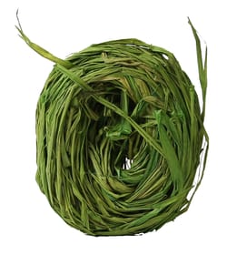 I AM CREATIVE Accessoires de fleuristerie Raphia Accessoires de fleuristerie Raphia I AM CREATIVE 656546600004 Couleur Vert Clair Photo no. 1