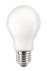 M-Classic M-CLASSIC LED E27 4.5W M-CLASSIC LED E27 4.5W M-Classic 421057300000 N. figura 1