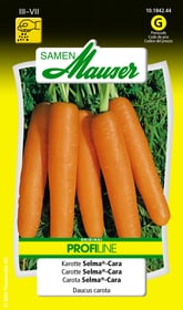 Samen Mauser Carotte Selma®-Cara Semences de legumes Carotte Selma®-Cara Semences de legumes Samen Mauser 650110908000 Contenu 2.5 g (env. 150 - 300 plantes ou 3 - 4 m²) Photo no. 1
