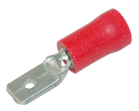10 Fiches mâles