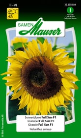 Samen Mauser Sonnenblume Full Sun F1 Blumensamen Sonnenblume Full Sun F1 Blumensamen Samen Mauser 650104107000 Inhalt 30 Korn (ca. 25 Pflanzen oder 2 - 3 m²) Bild Nr. 1