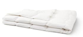 SANADAUN light Couette ultralégère, de qualité supérieure, avec 90% de duvet d’oie et protection anti-acariens SANADAUN light Couette ultralégère, de qualité supérieure, avec 90% de duvet d’oie et protection anti-acariens 451735512410 Couleur Blanc Dimensions L: 160.0 cm x P: 240.0 cm Photo no. 1