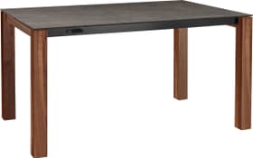 MEDICI Table MEDICI Table 402385315016 Couleur Grigio Struttura Dimensions L: 150.0 cm x P: 90.0 cm x H: 75.0 cm Photo no. 1