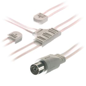 Vivanco FM - Antenne lanceuse Antenne FM - Antenne lanceuse Antenne Vivanco 770819700000 Photo no. 1