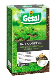 Compo Gesal Nachsaat-Rasen, 1 kg Rasensamen Nachsaat-Rasen, 1 kg Rasensamen Compo Gesal 659211700000 Bild Nr. 1