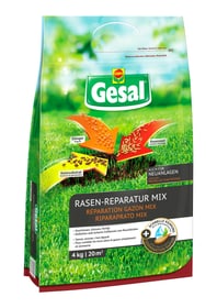 Compo Gesal Rasen-Reparatur MIX, 4 kg Rasensamen Rasen-Reparatur MIX, 4 kg Rasensamen Compo Gesal 659294300000 Bild Nr. 1