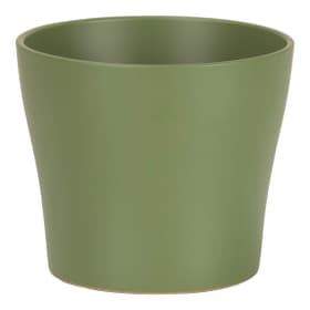 Keramik Übertopf Übertopf Scheurich 657189800015 Farbe Olive Grösse ø: 15.0 x L: 15.0 cm x B: 15.0 cm x H: 12.8 cm Bild Nr. 1