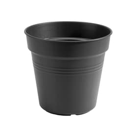 Green basic growpot Pot à fleurs 659626600000 Couleur Noir Taille ø: 11.0 cm x H: 10.0 cm Photo no. 1