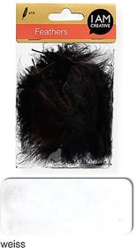 Plumes duvet