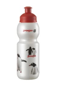 Pingu