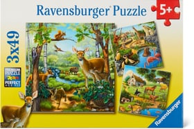 Tierarten Puzzle Puzzle Ravensburger 748977800000 Bild Nr. 1