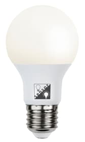 Ampoule LED avec senseur Ampoule LED Star Trading 613176700000 Photo no. 1