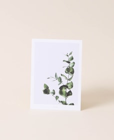 Esmée Eucalyptus Postkarte Eucalyptus Postkarte Esmée 657980000000 Bild Nr. 1