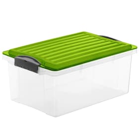 COMPACT Boîte de rangement 13l avec couvercle, Plastique (PP) sans BPA, vert/transparent, A4 Boîte de rangement Rotho 604055700000 Photo no. 1