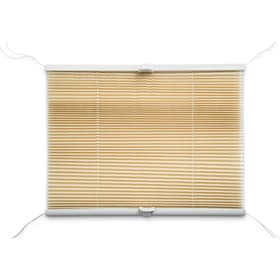 BASIC Tenda plissetata BASIC Tenda plissetata 372103100000 Dimensioni L: 100.0 cm x A: 160.0 cm Colore Beige N. figura 1