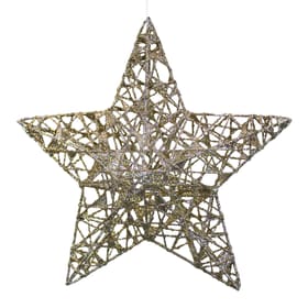 Geroma Stern Adventsfloristik Stern Adventsfloristik Geroma 657919500000 Farbe Gold Grösse L: 20.0 cm x B: 20.0 cm Bild Nr. 1