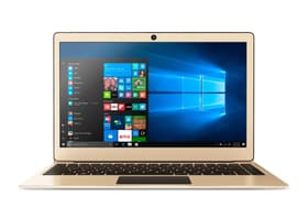 PrimeBook P13 Gold
