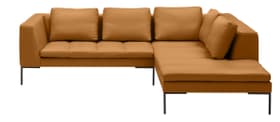 BADER Canapé d'angle BADER Canapé d'angle 405686150455 Dimensions L: 255.0 cm x P: 230.0 cm x H: 80.0 cm Couleur Cognac Photo no. 1