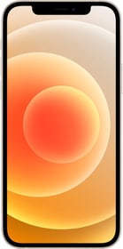 Apple iPhone 12 256GB White Smartphone iPhone 12 256GB White Smartphone Apple 794661900000 Couleur White Capacité de Mémoire 256.0 gb Photo no. 1